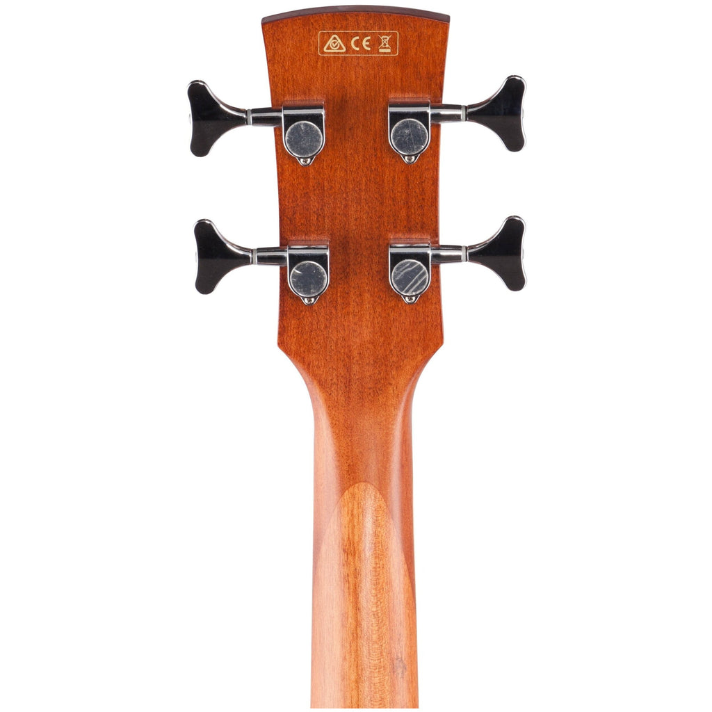 Ibanez PNB14E Performance Parlor Acoustic-Electric Bass Guitar, Open Pore Natural