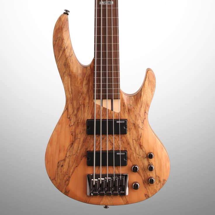 ESP LTD B205 Fretless Electric Bass, 5-String, Natural Satin