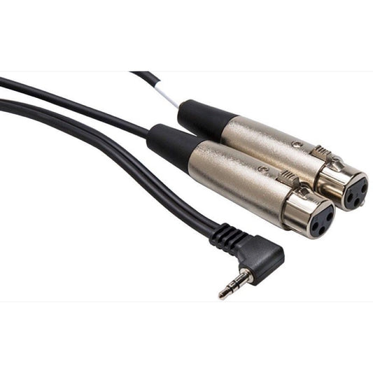 Hosa 1/8 Inch to Dual XLR Female Stereo Breakout Cable, CYX-402F, 2'
