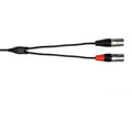 Hosa REAN Pro Stereo Breakout Mini TRS to Dual XLR Male Cable, HMX-003Y, 3 Foot