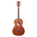 Ibanez PNB14E Performance Parlor Acoustic-Electric Bass Guitar, Open Pore Natural