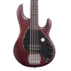 Sterling by Music Man StingRay 5 Walnut Satin 5-String Electric Bass