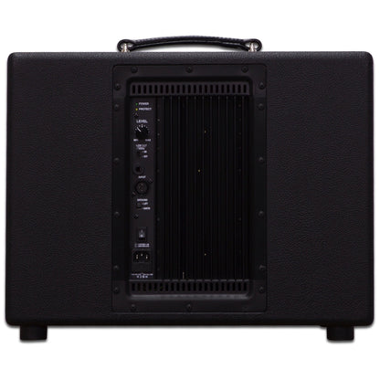 Friedman ASC10 Modeler Monitor Powered Extension Cabinet (1x10 Inch, 500 Watts)