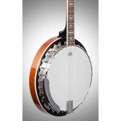 Washburn B10 Banjo