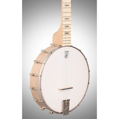 Deering Goodtime Banjo