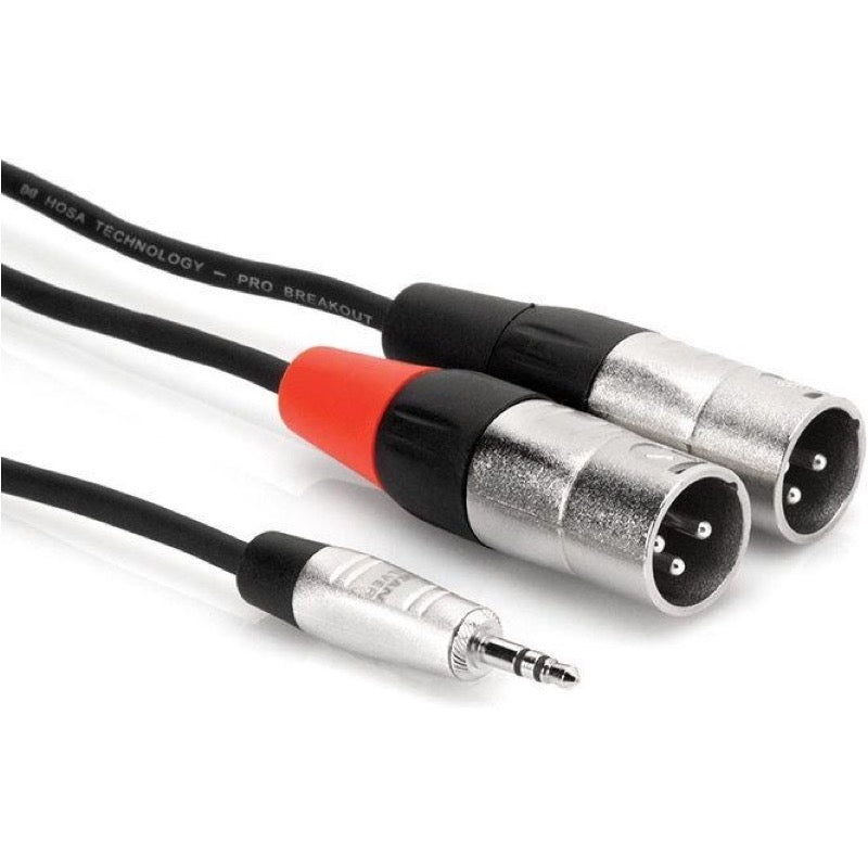 Hosa REAN Pro Stereo Breakout Mini TRS to Dual XLR Male Cable, HMX-003Y, 3 Foot