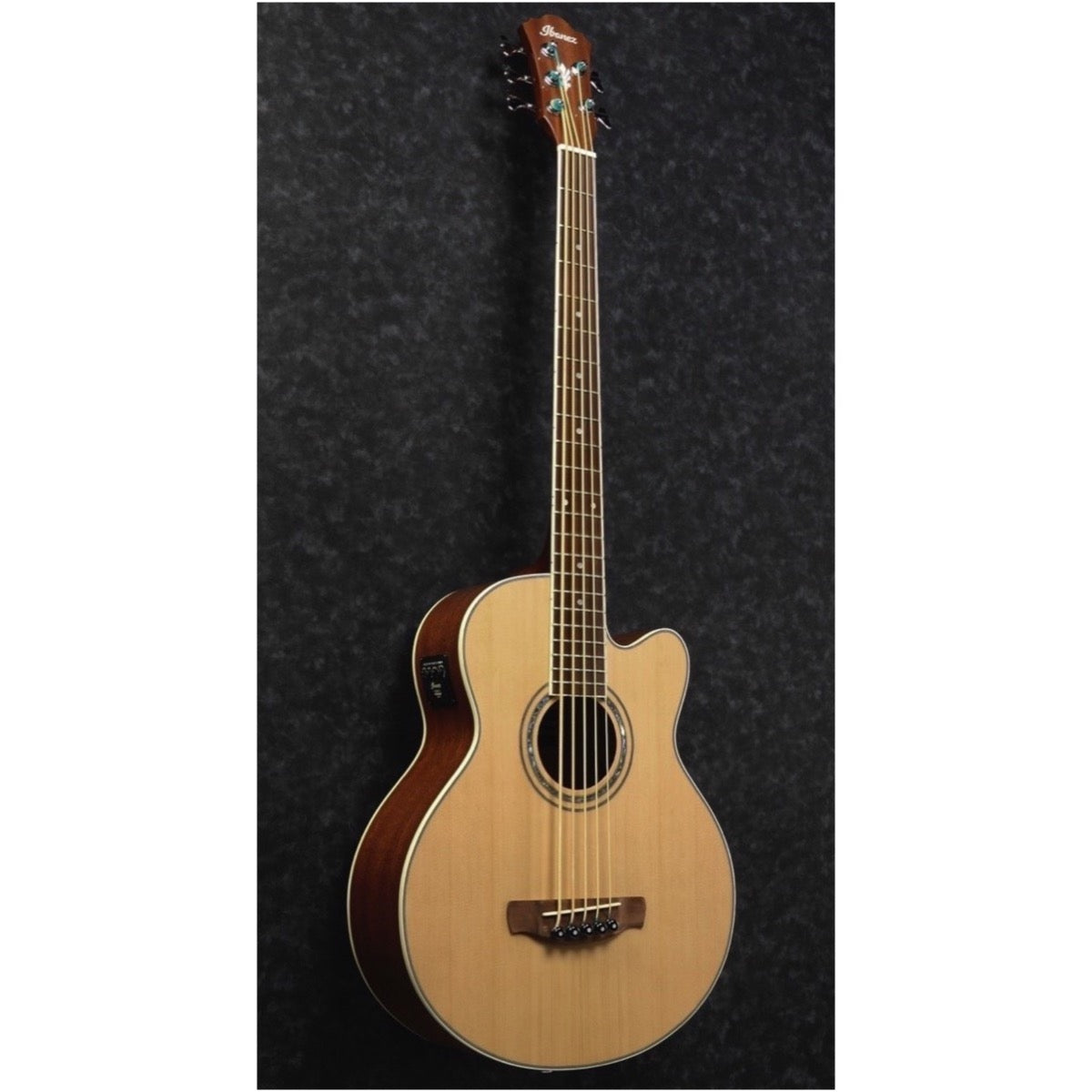 Day　Same　Bass,　Ibanez　–　AEB105E　High-Gloss　Acoustic-Electric　5-String,　Natural　Music