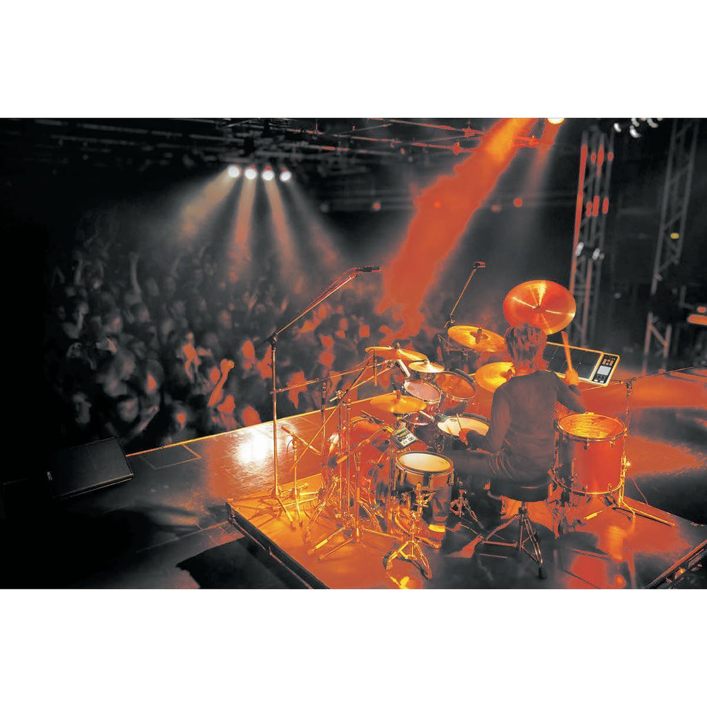 Roland TM-2 Drum Trigger Module