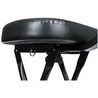 Gator Frameworks Combination Guitar Performance Seat and Single Guitar Stand