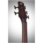 Ibanez SRF705 Portamento 5-String Fretless Electric Bass, Brown Sunburst