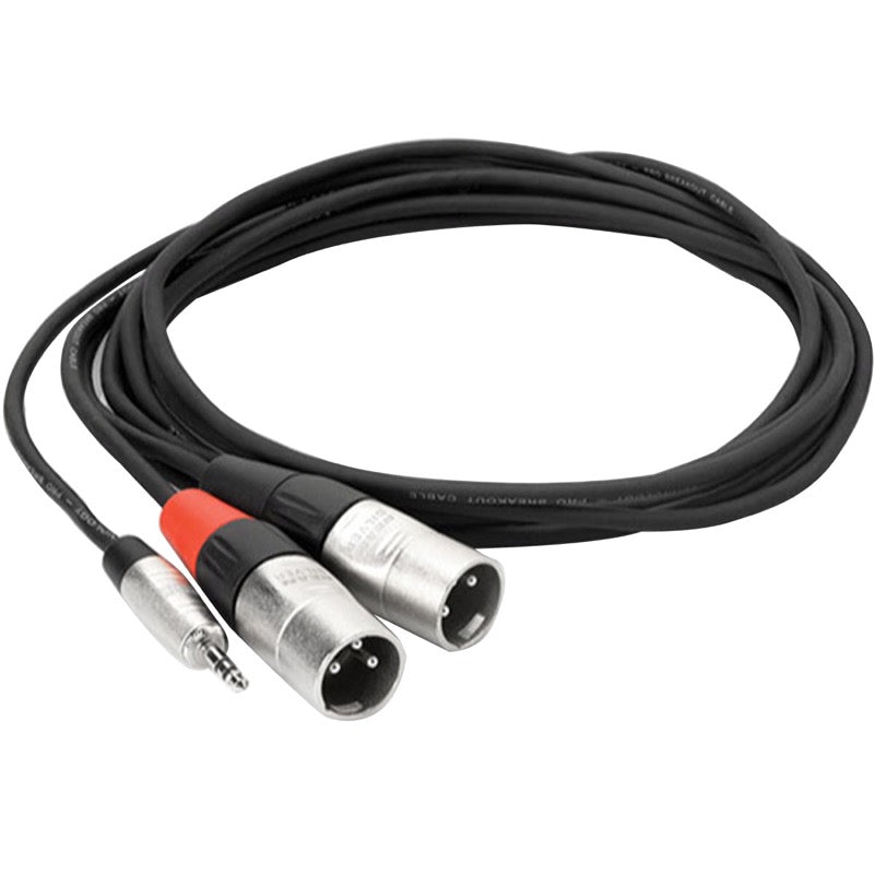 Hosa REAN Pro Stereo Breakout Mini TRS to Dual XLR Male Cable, HMX-010Y, 10 Foot