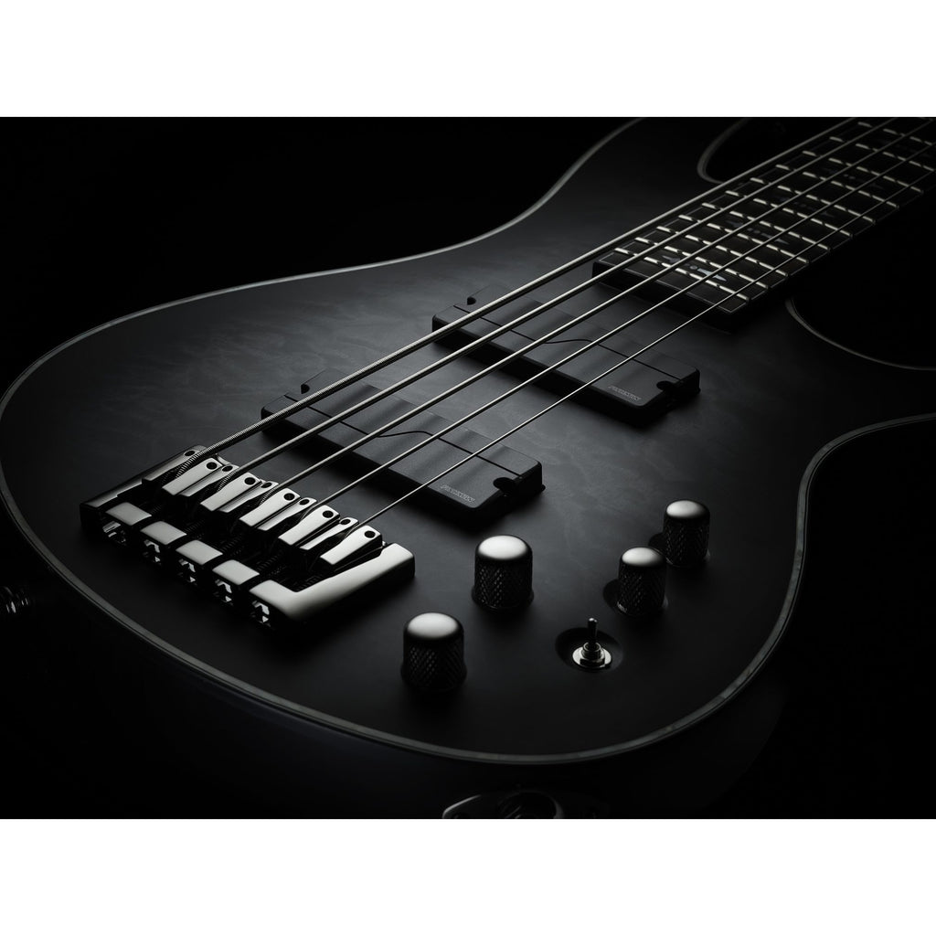 Fishman Fluence Bass Soapbar Pickup, 5-String, Black, Single