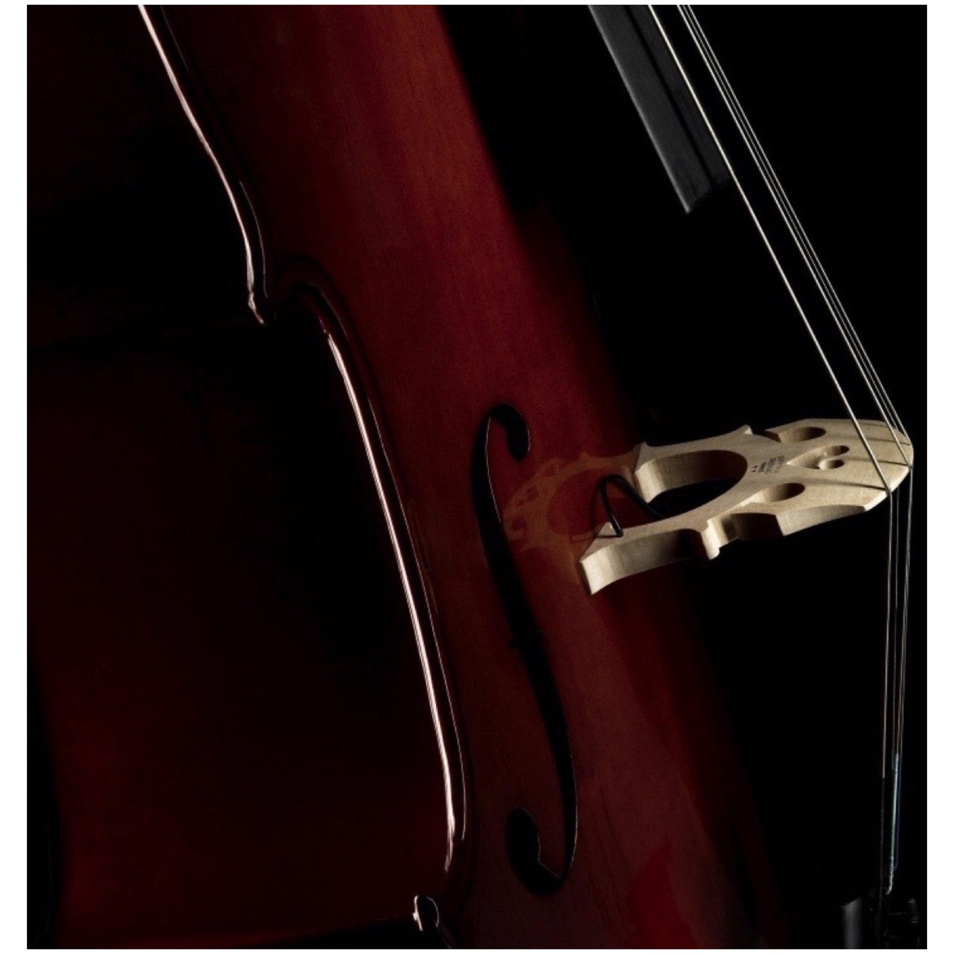 Fishman C200CE Classic Series Cello Pickup Same Day Music