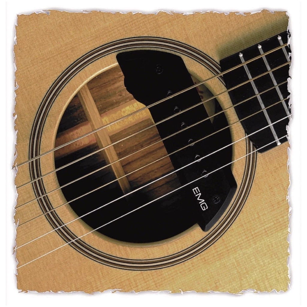 EMG ACS Acoustic Soundhole Pickup, Black