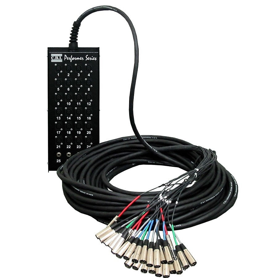 CBI 24x4 Audio Snake with Neutrik Connectors (XLR x 24, 1/4 Inch TRS x 4), 100 Foot