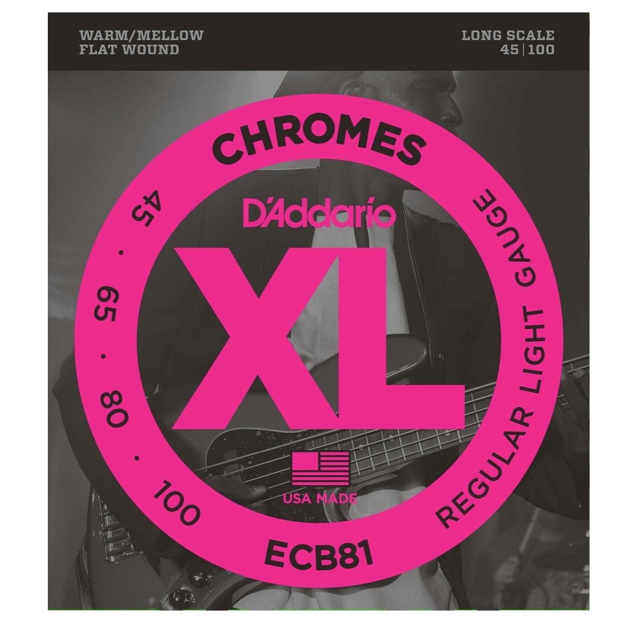 D'Addario ECB81 Chromes Flatwound Bass Strings (Regular Light, Long Scale)