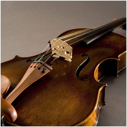 Fishman Concert Series V400 Viola Pickup