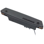 Fishman Rare Earth Single-Coil Soundhole Pickup