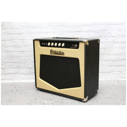 ValveTrain Trenton Pro Guitar Combo Amplifier (27 Watts, 1x12 Inch)
