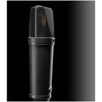 Neumann U 87 Ai Large-Diaphragm Condenser Microphone with Shock Mount, Case and Cable, Black