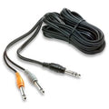 Fishman Stereo Y Cable, 13 Foot