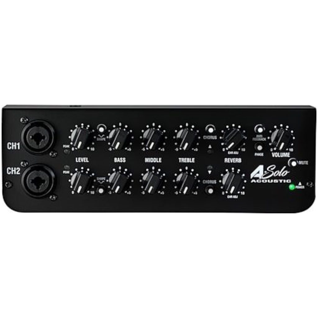 Laney A-SOLO Acoustic Combo Amplifier (60 Watts)